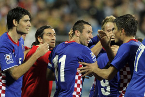 Срна в центре внимания