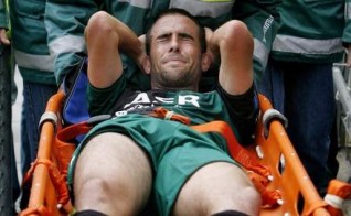 Дани Фернандес, v-bal.nl