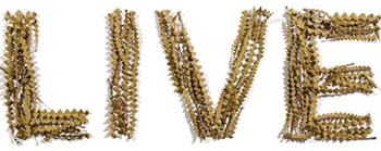 Трансляции матчей 8-го тура УПЛ на Football.ua