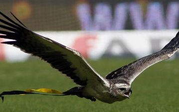 Фото fcupdate.nl 