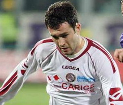 Дарио Кнежевич