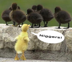 фото google.com.ua