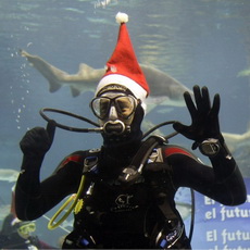 Бояна все устраивает, фото Reuters