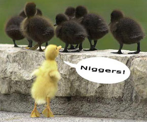 Фото wordpress.com