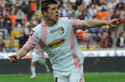 Давиде Суччи, Grazia Neri