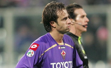 Фиалкам нынче нелегко, АР