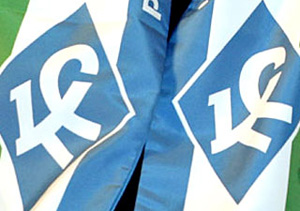 Крылья могут быть спасены