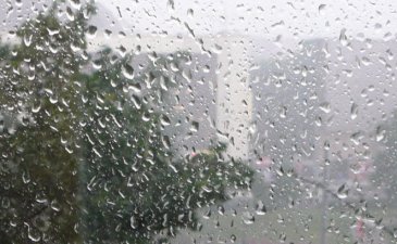 Вот такие дела, фото google.com