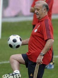 Висенте дель Боске, АР