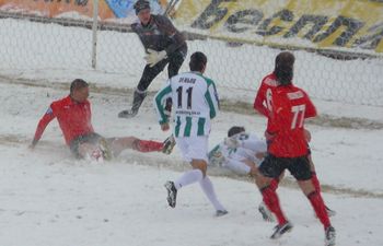 фото ФК Карпаты