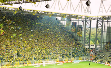 Фото faculty.ucc.edu