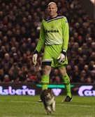 Брэд Фридель