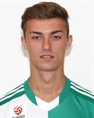 Марио Павелич