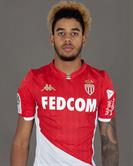 Віллем Давні Луї Дід'є Жеббель