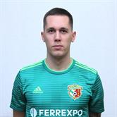 Эдин  Шехич