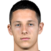 Домагой Брадарич