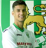 Фране Войковиц