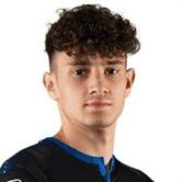 Доминик Билогревич