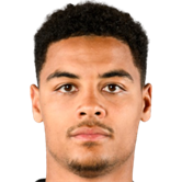 Коні Де Вінтер