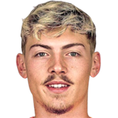 Нікола Чавліна