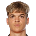 Бруну Ірібарне Алеман