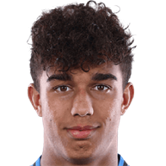 Домінік Вавассорі