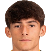 Нікколо Фортіні