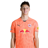 Салько Гамзич