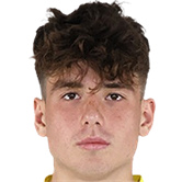 Йоан Вермешан