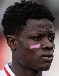 Сані Сулейман