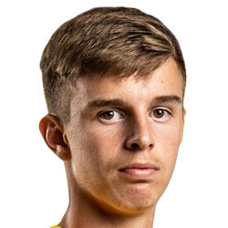 Домінік Дробнич