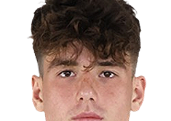 Йоан Вермешан