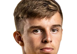 Домінік Дробнич