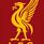 97YNWA97