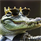 Аlligator