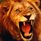 {_Lion_KILLER_}
