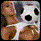 ronallo55