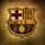 Expert16