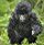 antoha_8181