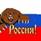 Russia Bear