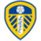 Leeds Utd fan