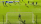 fan_man_utd
