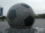 footstar