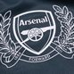 arsenal_team_fan