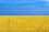 ьовтдва