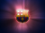 CatalonecOleg