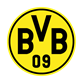 BVB_10