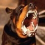 Poltava_dog_gren