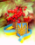 VOV4ARA
