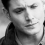 Winchester.